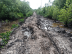 kondisi jalan raya yang menghubungkan desa sungai jambat dengan desa sungai sayang