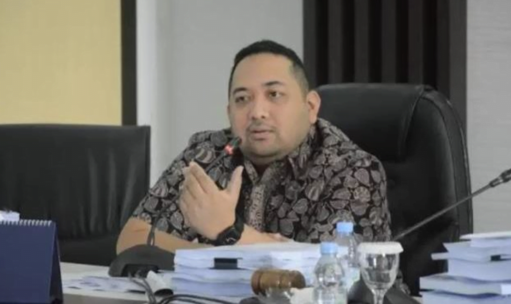 wakil ketua (waka) dprd provinsi jambi, pinto jayanegara