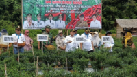 dumisake gubernur al haris gelontorkan rp 10,8 miliar untuk penguatan pangan di jambi