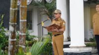 gubernur jambi al haris