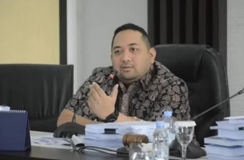 Wakil Ketua II DPRD Provinsi Jambi, Pinto Jayanegara mengatakan, Jambi sudah menjadi destinasi favorit pejabat daerah lain. Kondisi ini, seharusnya bisa dimanfaatkan oleh seluruh maskapai penerbangan yang keluar dan masuk bandara Sultan Thaha Jambi.