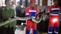 damkar kota jambi