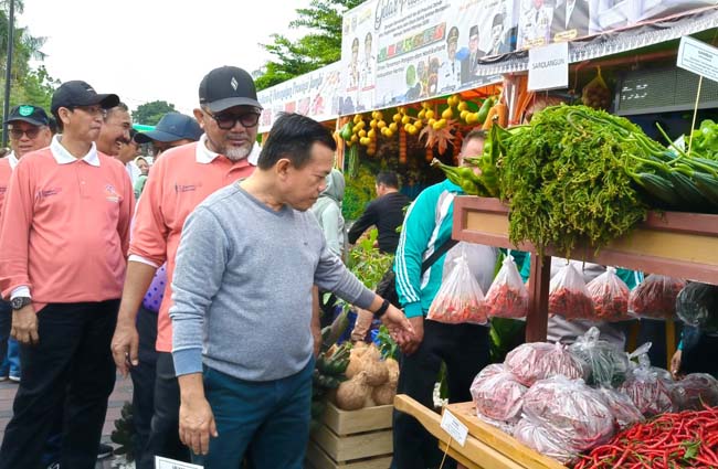 meriahkan hut jambi