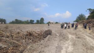 Stockpile PT SAS, Sikap Tegas Wali Kota Jambi Maulana Dinanti