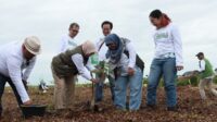- PT SAS akan Siapkan 1,4 Juta Bibit Tanaman,  Rehabilitasi 2 Ribu Hektar Lahan Gambut di Jambi - PT SAS akan Siapkan 1,4 Juta Bibit Tanaman, Rehabilitasi 2 Ribu Hektar Lahan Gambut di Jambi