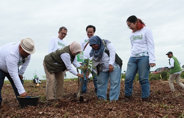 - PT SAS akan Siapkan 1,4 Juta Bibit Tanaman,  Rehabilitasi 2 Ribu Hektar Lahan Gambut di Jambi - PT SAS akan Siapkan 1,4 Juta Bibit Tanaman, Rehabilitasi 2 Ribu Hektar Lahan Gambut di Jambi