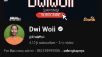 Kenapa Channel YouTube Dwi Woii Jadi Surga Para User Fanny? Review Lengkap