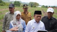 Gubernur Al Haris Tinjau Bendungan PLTA Danau Kerinci, Lepas 10.000 Benih Ikan dan Apresiasi Kemandirian SMK-SPP Negeri 3 Kerinci