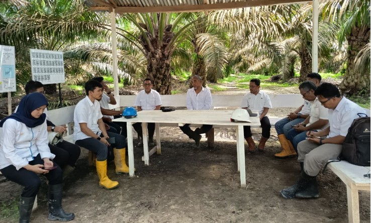 Tekankan Operational Excellence, PTPN IV Regional IV Genjot Produksi Sawit di Jambi-Sumbar