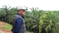 PTPN IV PalmCo Tingkatkan Sertifikasi Ahli K3, Siapkan Agen Budaya Aman di Lapangan