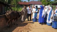 Hj. Hesti Haris bersama BKMT dan Posyandu Serahkan Hewan Kurban di Desa Tangkit dan Kelurahan Kasang
