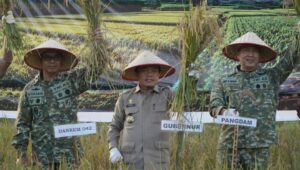 Gubernur Al Haris Hadiri Panen Raya TNI di Desa Kota Baru Geragai, Dukung Ketahanan Pangan