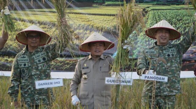 Gubernur Al Haris Hadiri Panen Raya TNI di Desa Kota Baru Geragai, Dukung Ketahanan Pangan