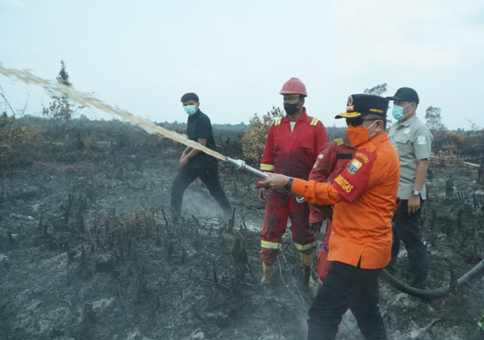 Gubernur Al Haris Berjibaku Padamkan Karhutla di Muaro Jambi, Dorong Masyarakat Manfaatkan Program PLTB