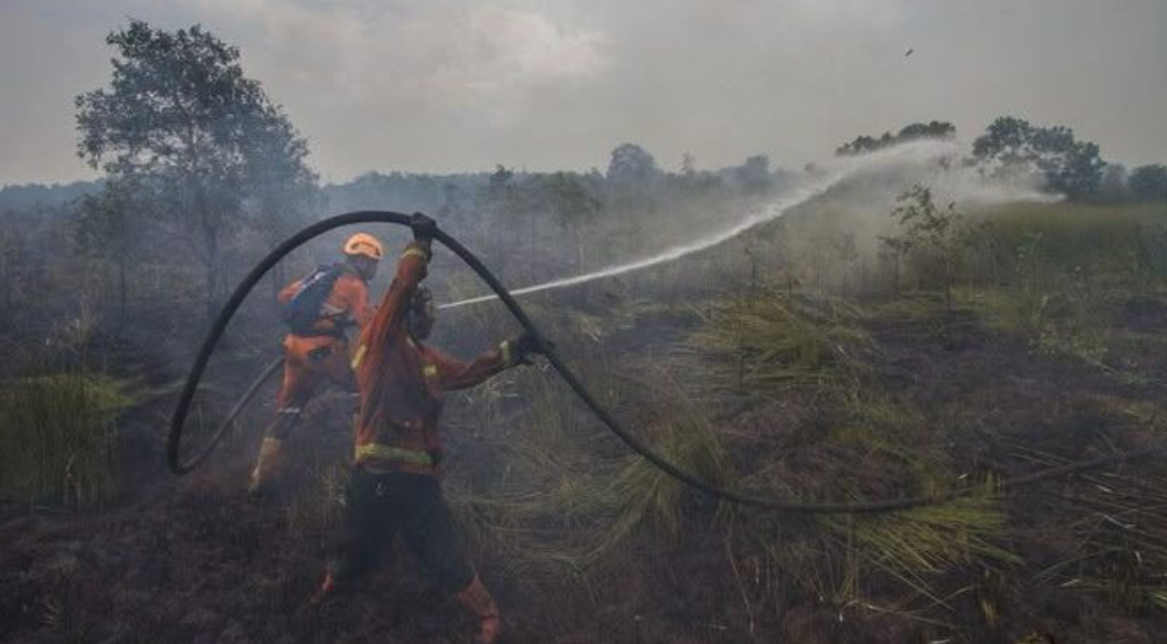 Antisipasi Karhutla, PTPN IV PalmCo Perkuat Deteksi Dini dan Patroli di Sumatera-Kalimantan